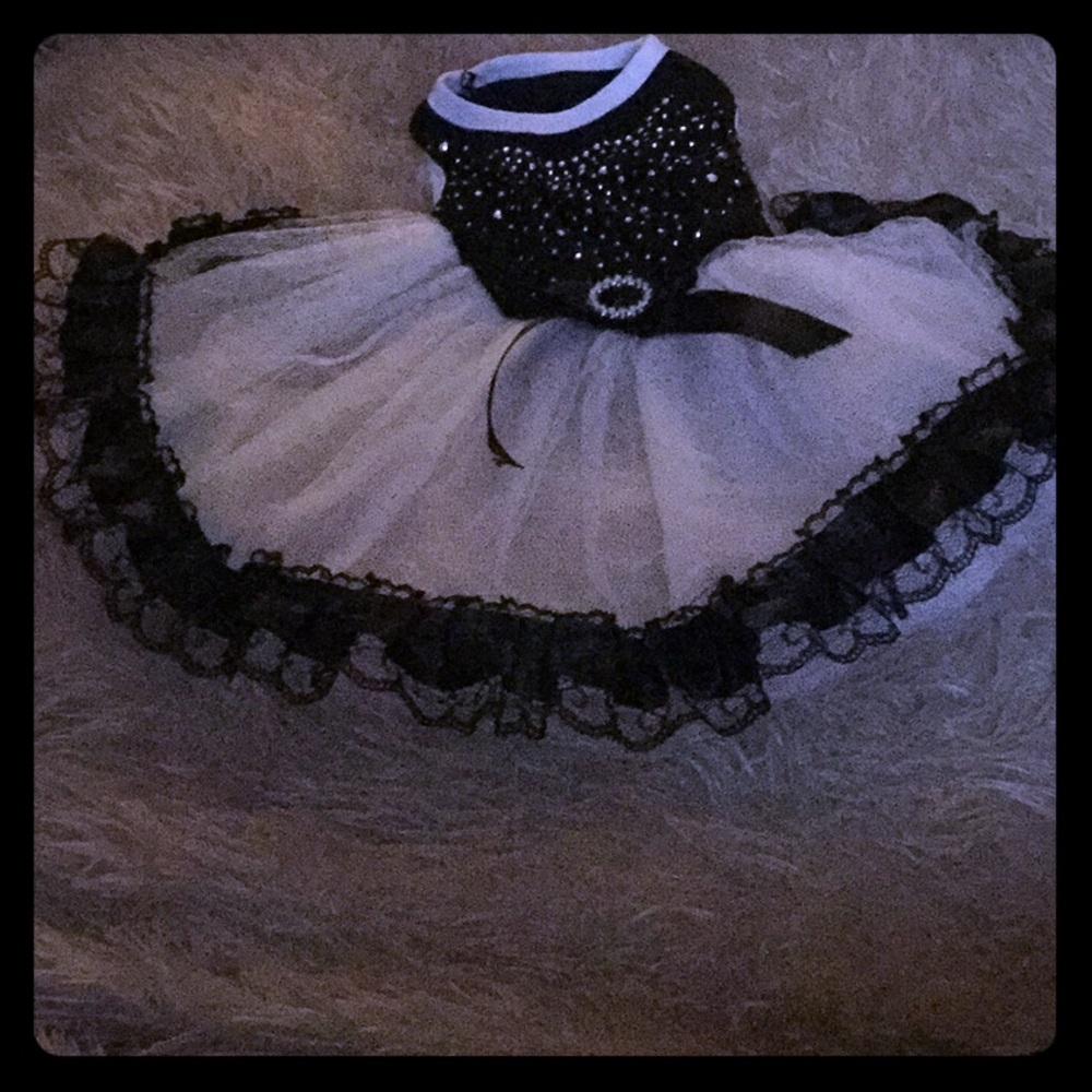 Dog dress